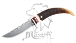 Mastiff Imported Japanese Damascus Steel Fixed Blade Knife W/ Kerry Horn Handle