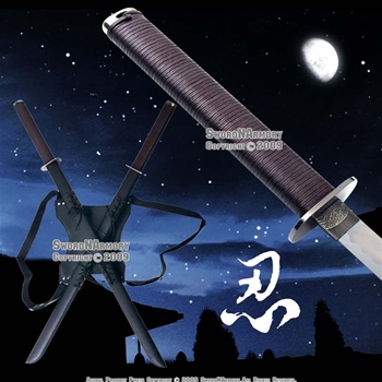 Leonardo Dual Ninja Swords w/ Back Carrying Scabbard