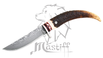 Mastiff Imported Japanese Damascus Steel Fixed Blade Knife W/ Kerry Horn Handle