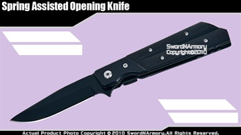 Spring Assisted Opening Knife Pocket Folder Wood Handle